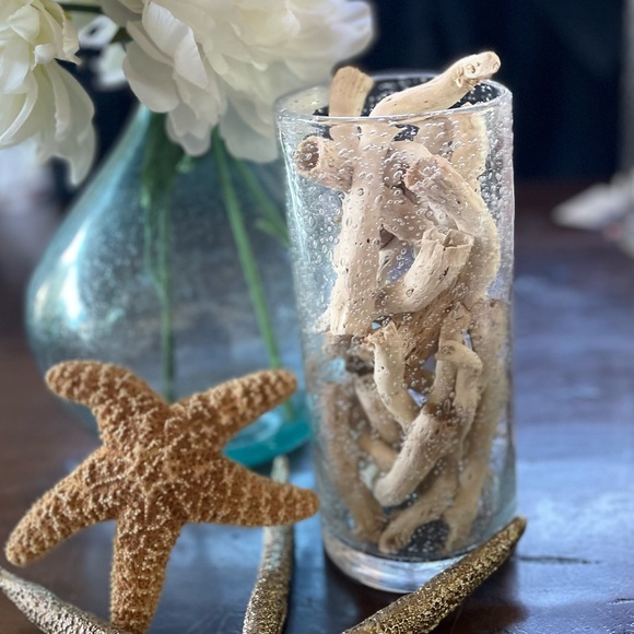 Pottery Barn drift wood vase filler - Picture 7 of 8